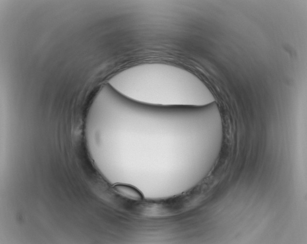 X0000115690507200911121010