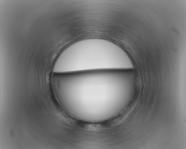 X0000115690508200911121010