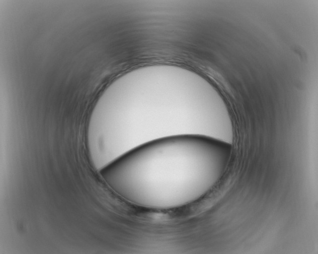 X0000115690509200911121010