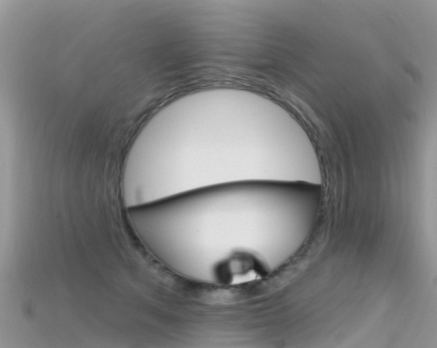 X0000115690513200911121010