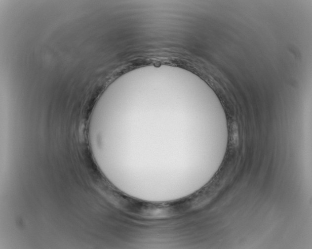 X0000115690514200911121010