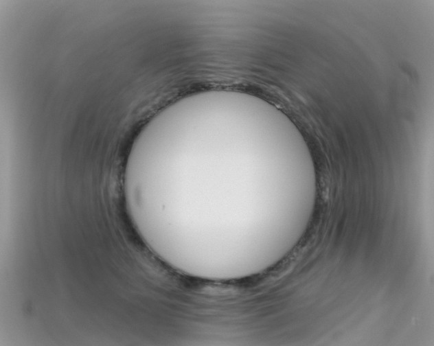 X0000115690515200911121010