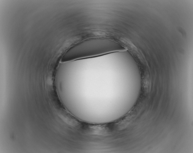X0000115690516200911121010