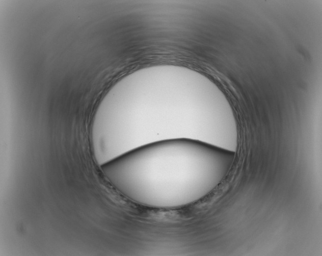 X0000115690517200911121010