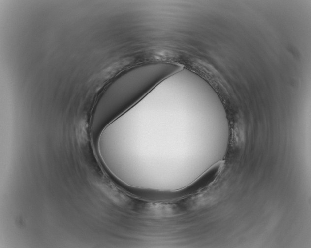 X0000115690520200911121010