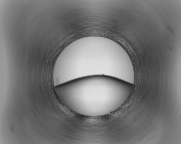 X0000115690521200911121010