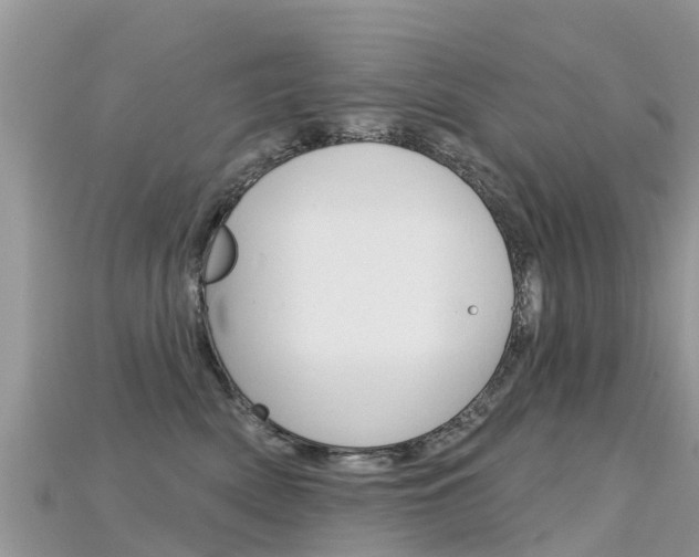 X0000115690522200911121010