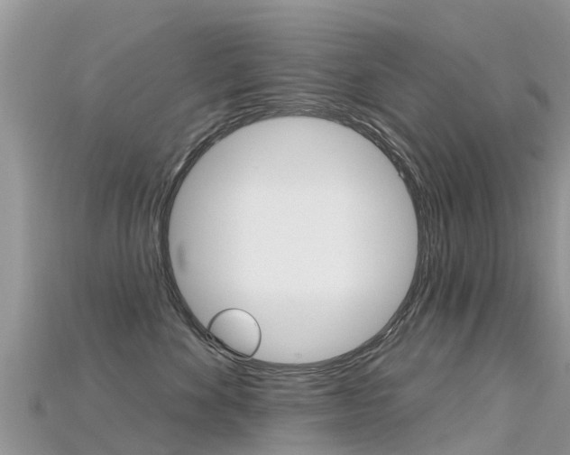 X0000115690524200911121010
