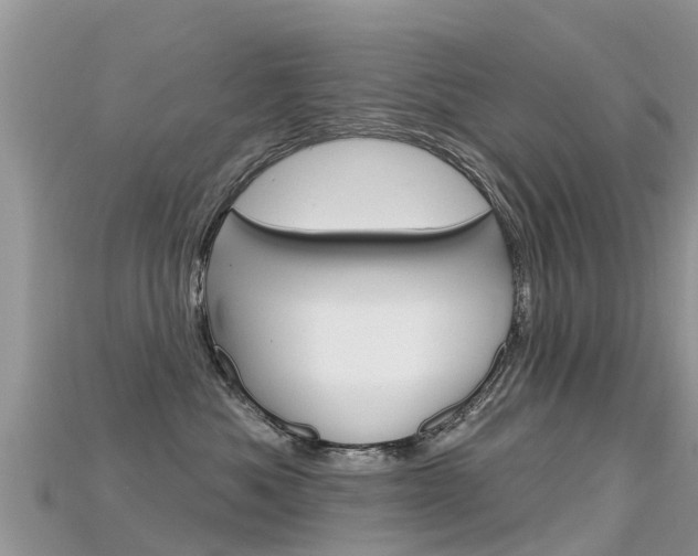 X0000115690525200911121010