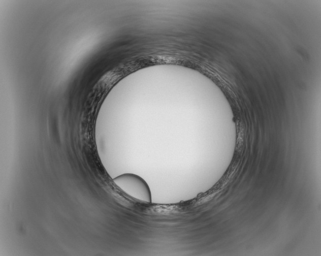 X0000115690526200911121010