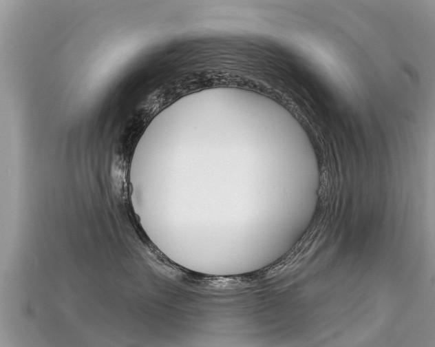 X0000115690527200911121010