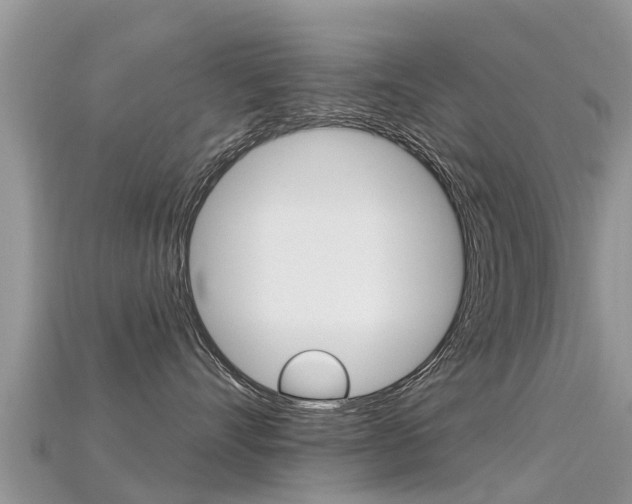 X0000115690528200911121010