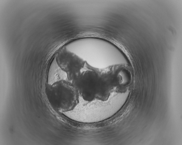 X0000115690529200911121010