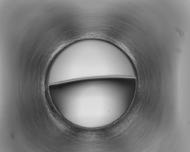 X0000115690530200911121010