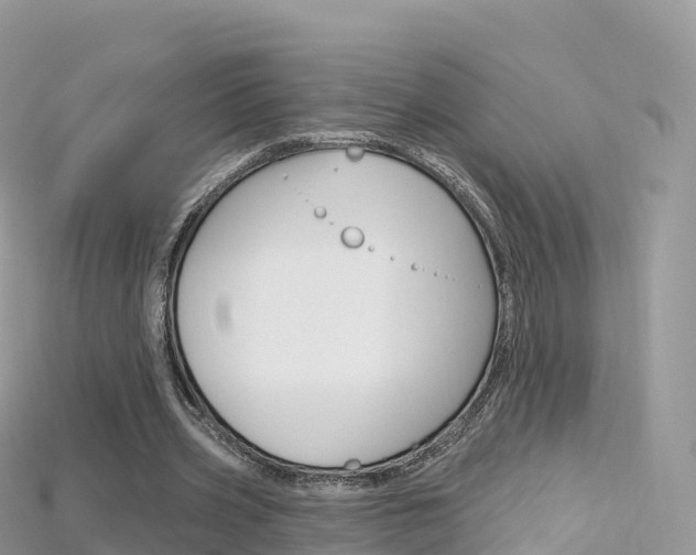 X0000115690533200911121010