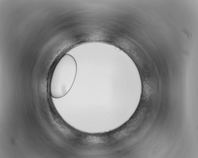 X0000115690534200911121010