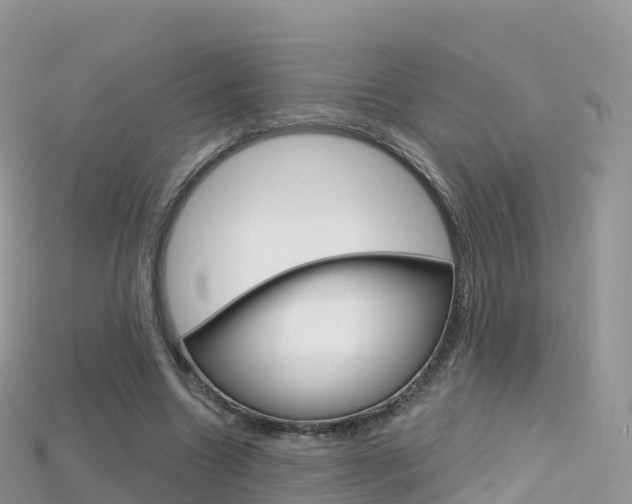 X0000115690538200911121010