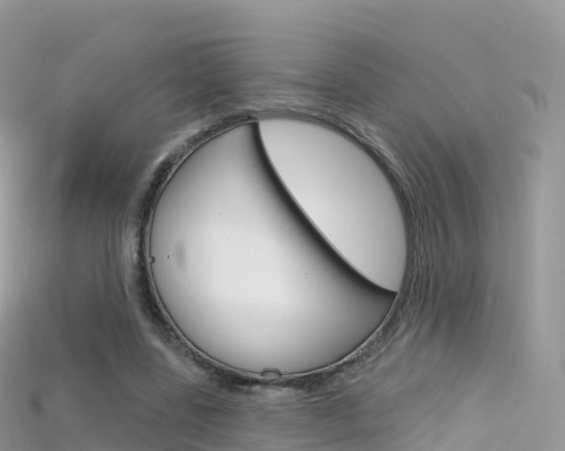 X0000115690539200911121010