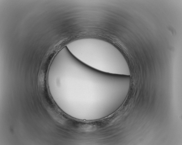 X0000115690542200911121010