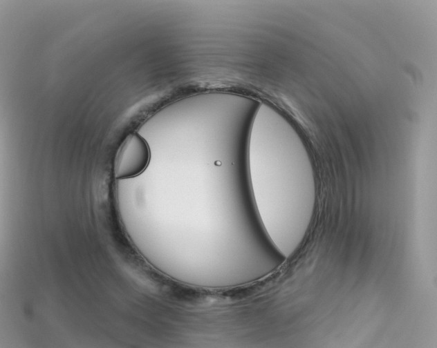 X0000115690543200911121010