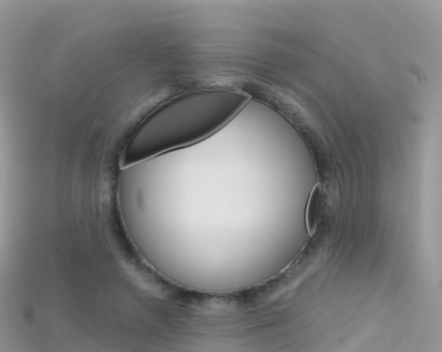 X0000115690546200911121010