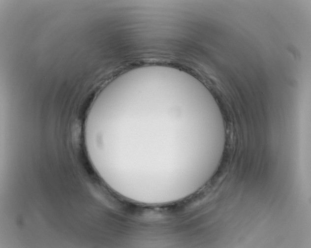 X0000115690550200911121010