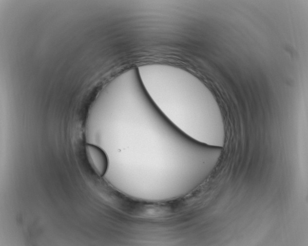 X0000115690555200911121010