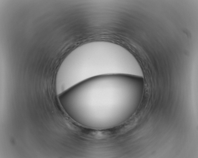 X0000115690558200911121010