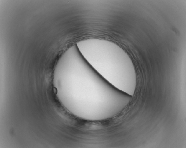 X0000115690559200911121010