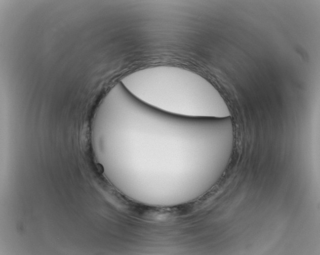 X0000115690563200911121010