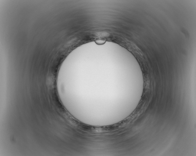 X0000115690565200911121010