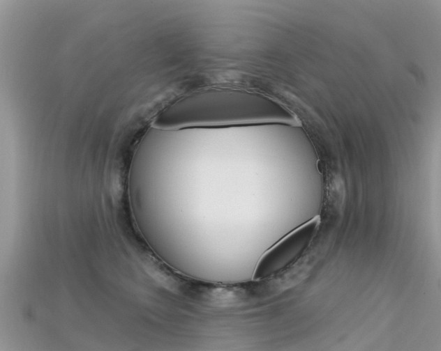 X0000115690566200911121010