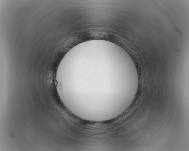 X0000115690567200911121010