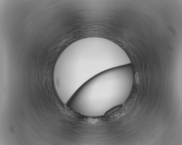 X0000115690570200911121010