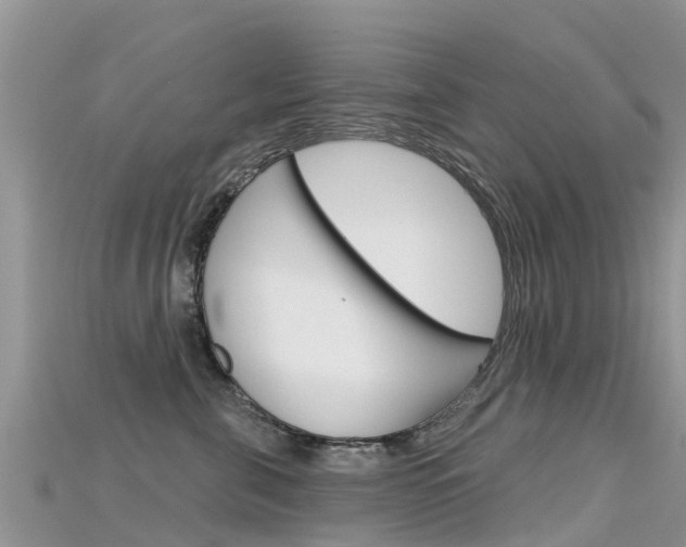 X0000115690571200911121010