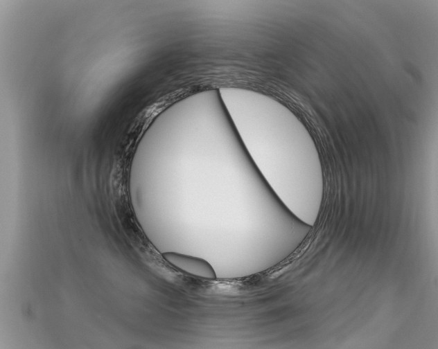 X0000115690573200911121010