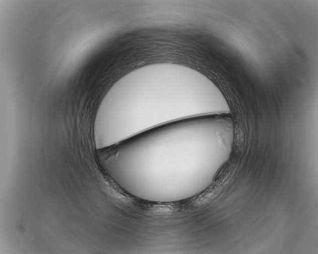 X0000115690574200911121010
