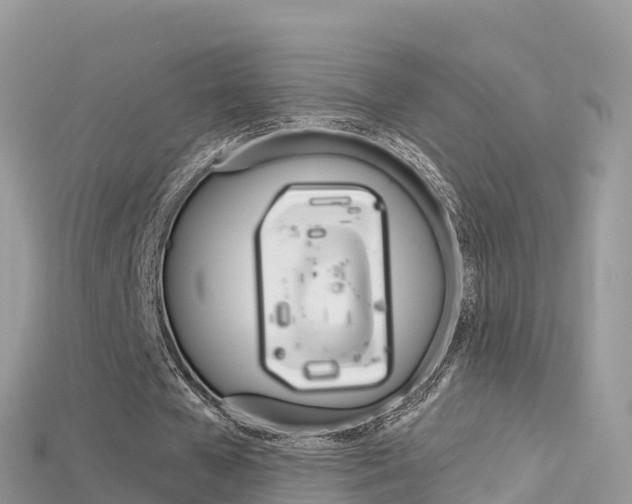 X0000115690577200911121009