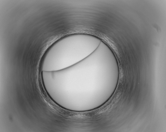 X0000115690578200911121009