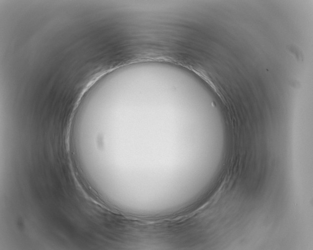 X0000115690579200911121009