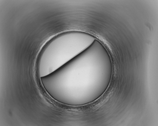 X0000115690580200911121009