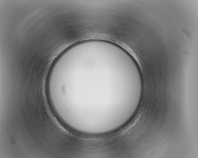 X0000115690581200911121009