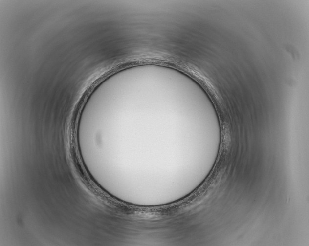 X0000115690582200911121009