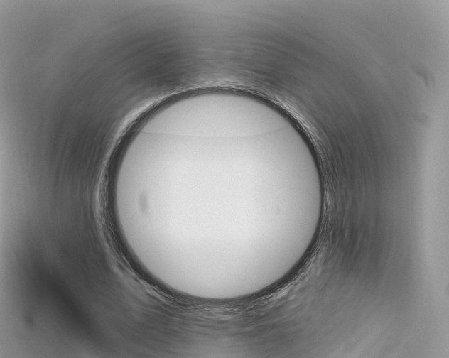 X0000115690583200911121009