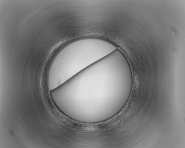 X0000115690587200911121009