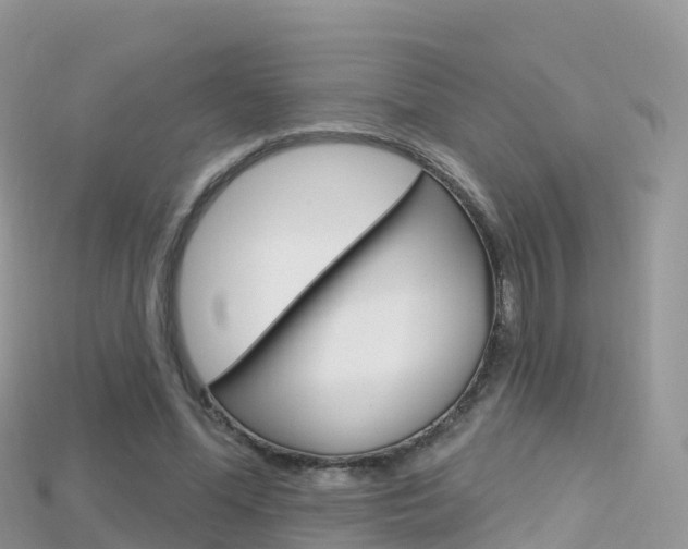 X0000115690588200911121009