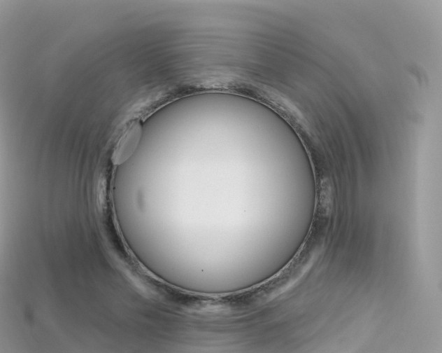 X0000115690589200911121009