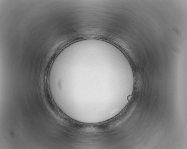 X0000115690590200911121009