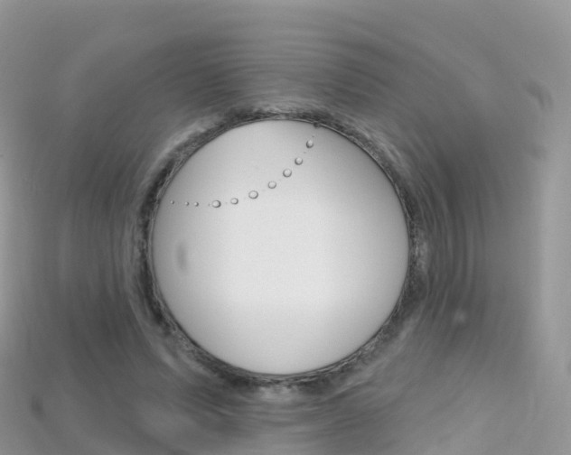 X0000115690591200911121009