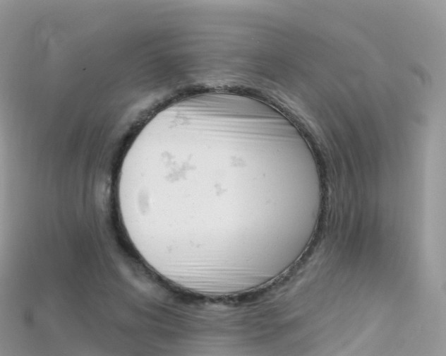 X0000115690592200911121009